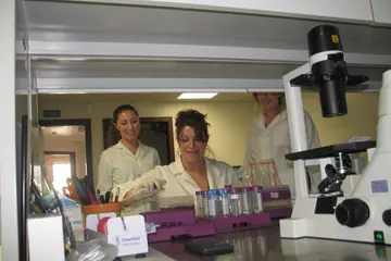 医疗科技的学生在一个实验室工作
