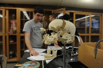 医疗科技的学生在一个实验室工作