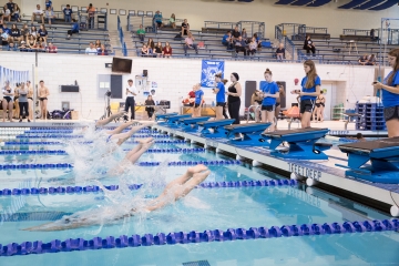 游泳运动员在游泳馆比赛开始时跳入游泳池