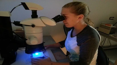 学生看着显微镜。分子遗传学,分子遗传学分子遗传学专业,学位。