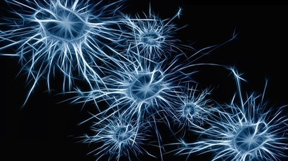 浅蓝色神经元